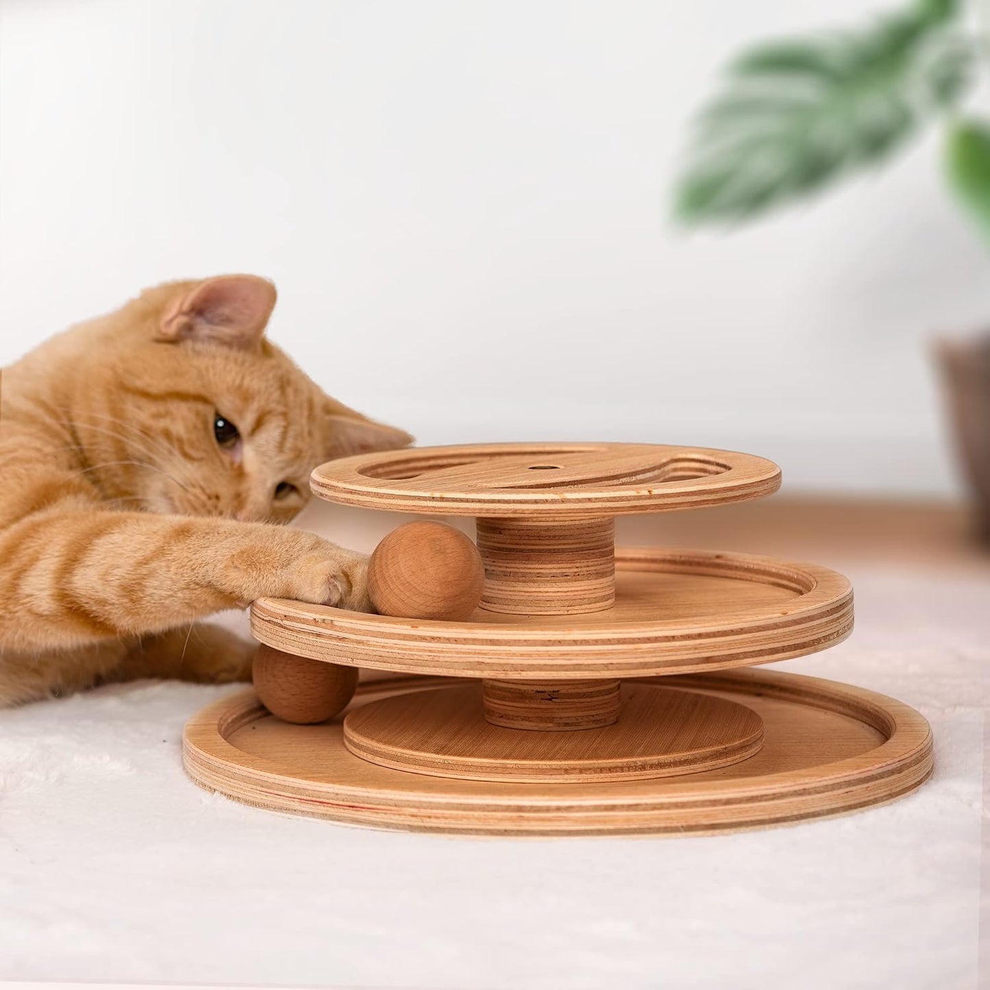 Cat Ball Track Toy